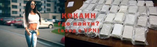 крисы Баксан