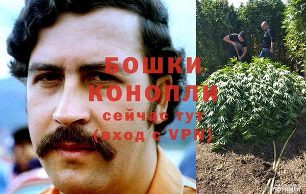 молекула духа Балабаново