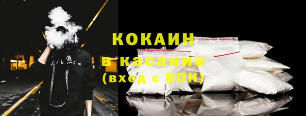 крисы Баксан