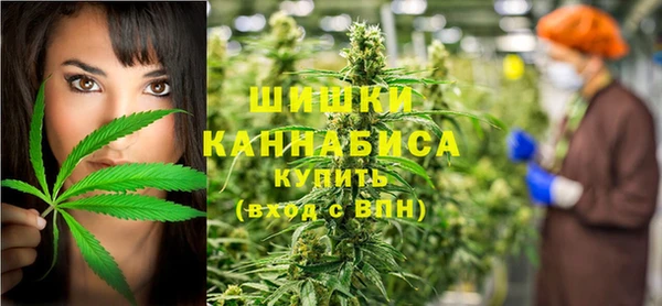 крисы Баксан