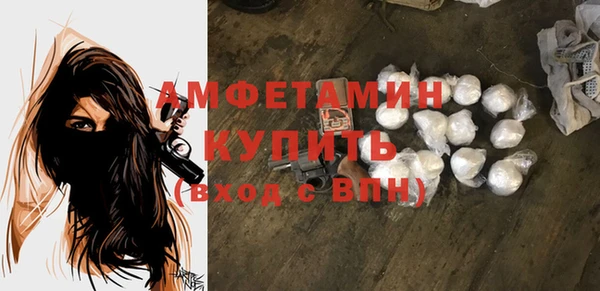 крисы Баксан