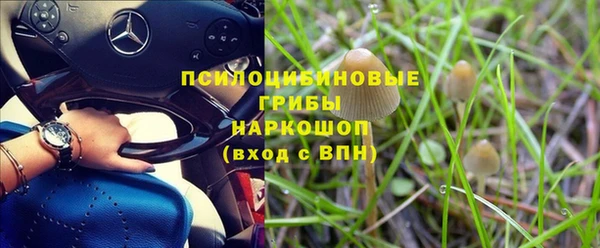 молекула духа Балабаново