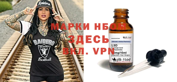 крисы Баксан