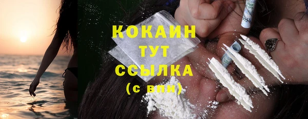 крисы Баксан